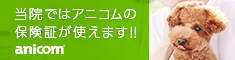 当院ではアニコムの保険証が使えます